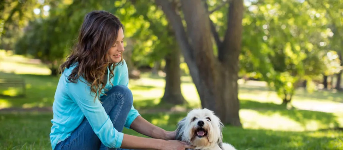 3 studie ukazují, že psi mohou jíst i vegansky