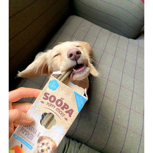 Soopa PUPPY Dentals BANÁNOVÉ A DÝNĚ 