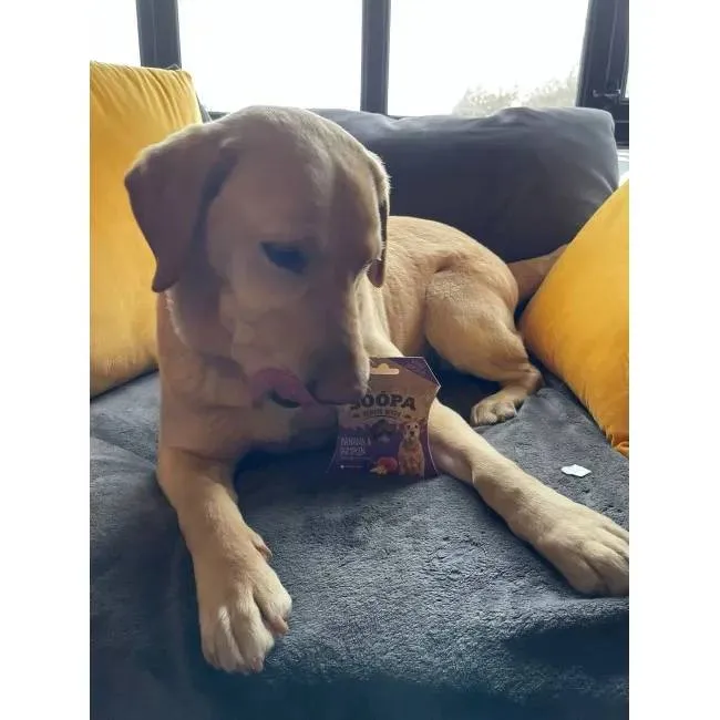 Soopa SENIOR Bites BANÁN A DÝNĚ