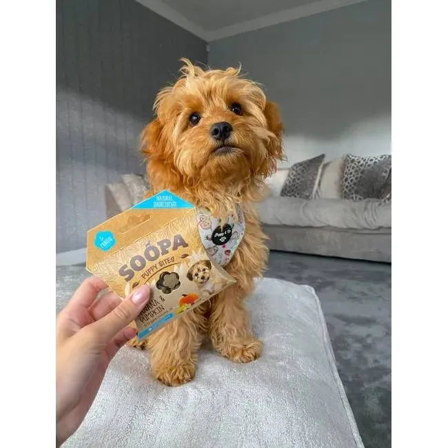 Soopa PUPPY Bites BANÁN A DÝNĚ