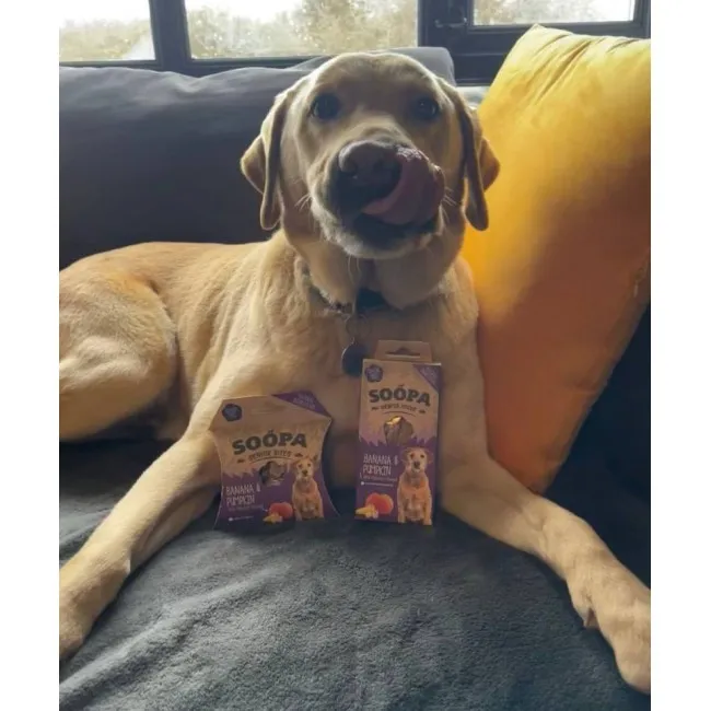 Soopa SENIOR Bites BANÁN A DÝNĚ