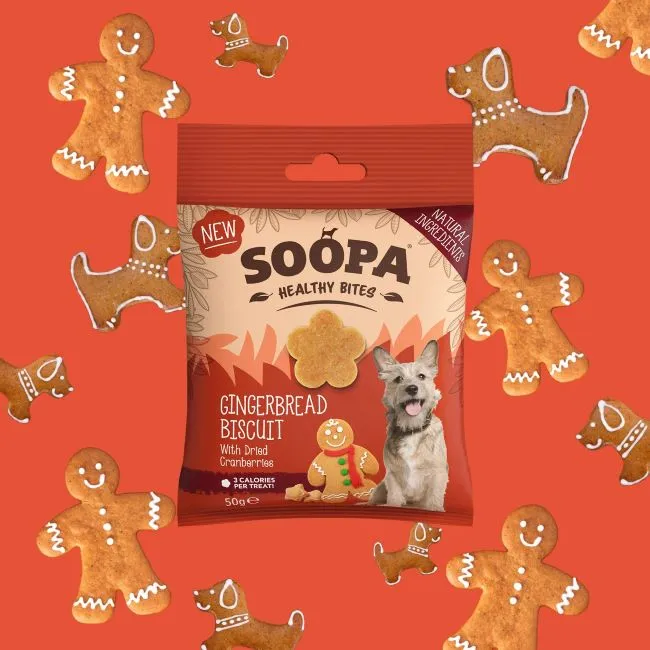 Soopa Bites ZÁZVOROVÉ SUŠENKY