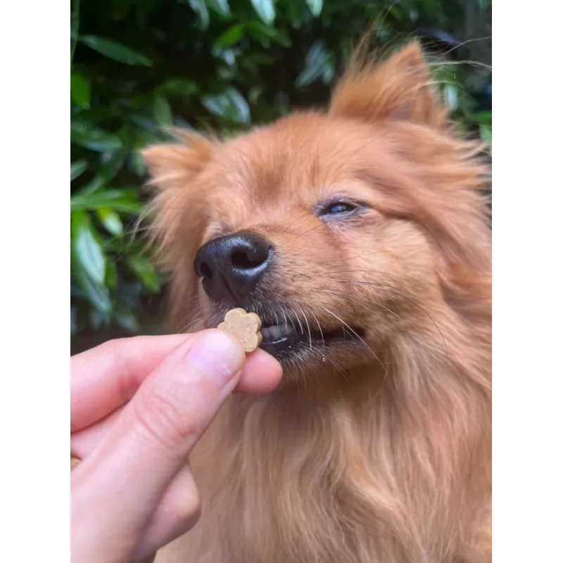 Soopa MINI Bites BANÁN A DÝNĚ