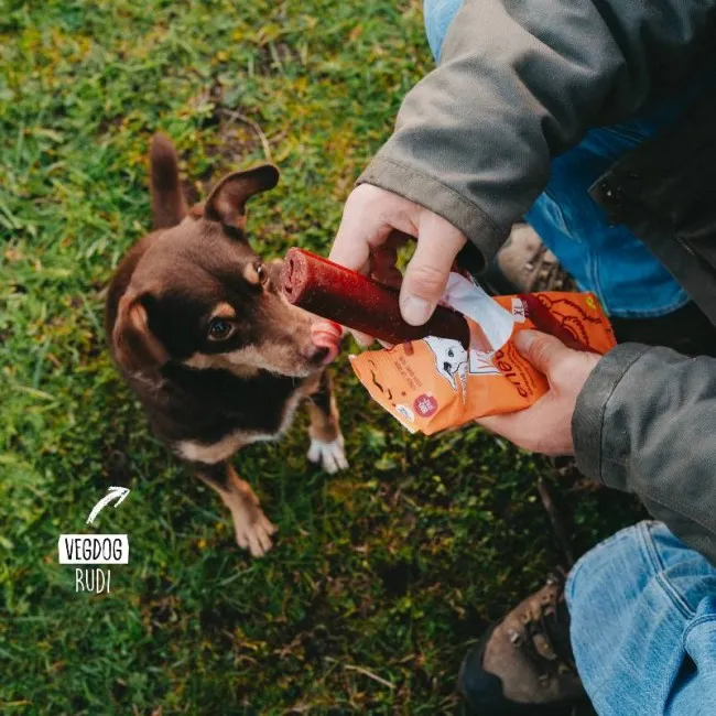 Vegdog CHEVVIES XL
